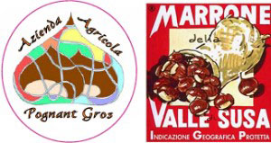 Azienda agricola Pognant Gros